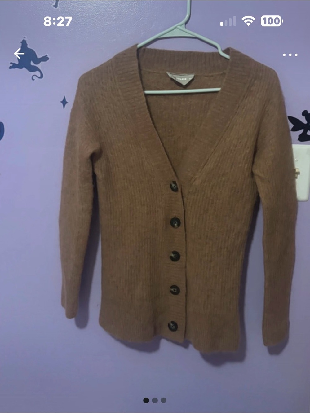 Everlane Brown alpaca wool V-Neck Button-Front Cardigan